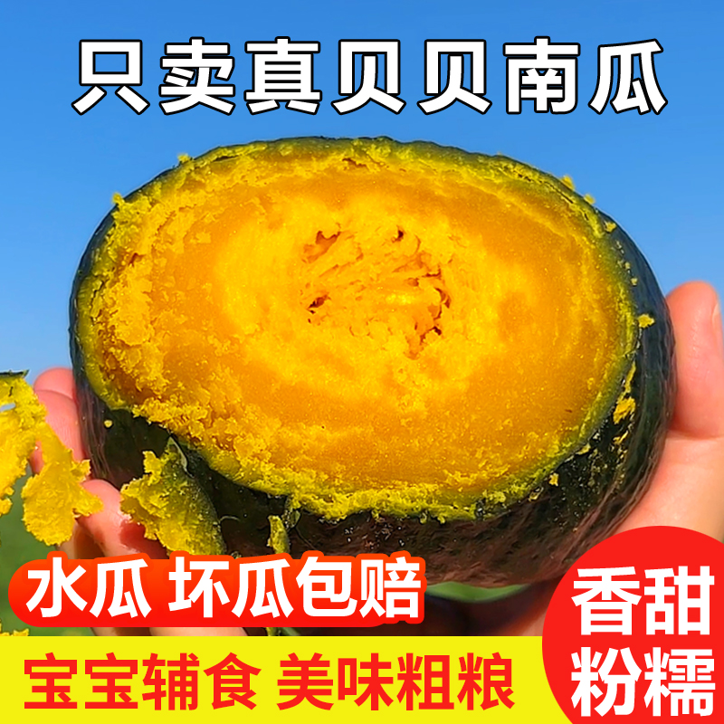 白浪源1号贝贝南瓜4.5斤装粗粮宝宝辅食粉面香甜板栗味小南瓜