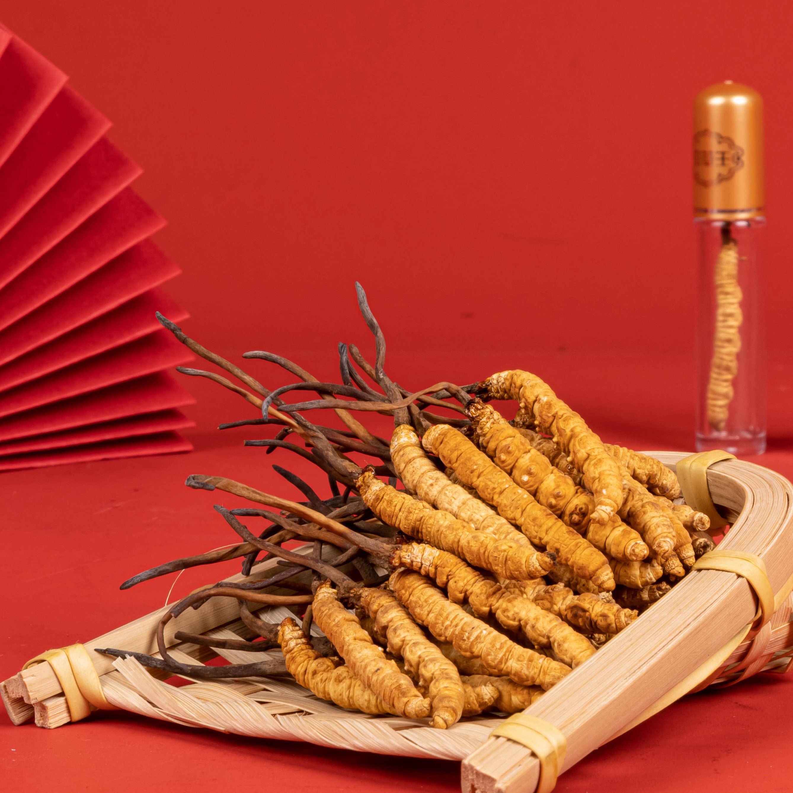 【原草堂滋补专属】2025新冬虫夏草2根/克-50根正品虫草送礼