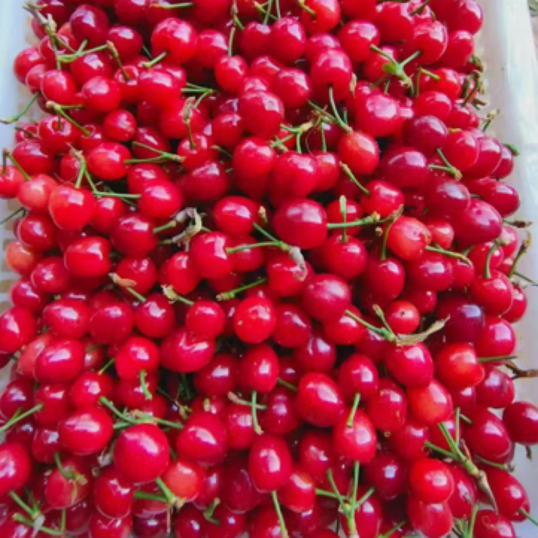 次日达（空运顺丰京东随机发）云南玛瑙红樱桃现摘现发次日达L1000g新鲜樱桃玛瑙红樱桃云南省