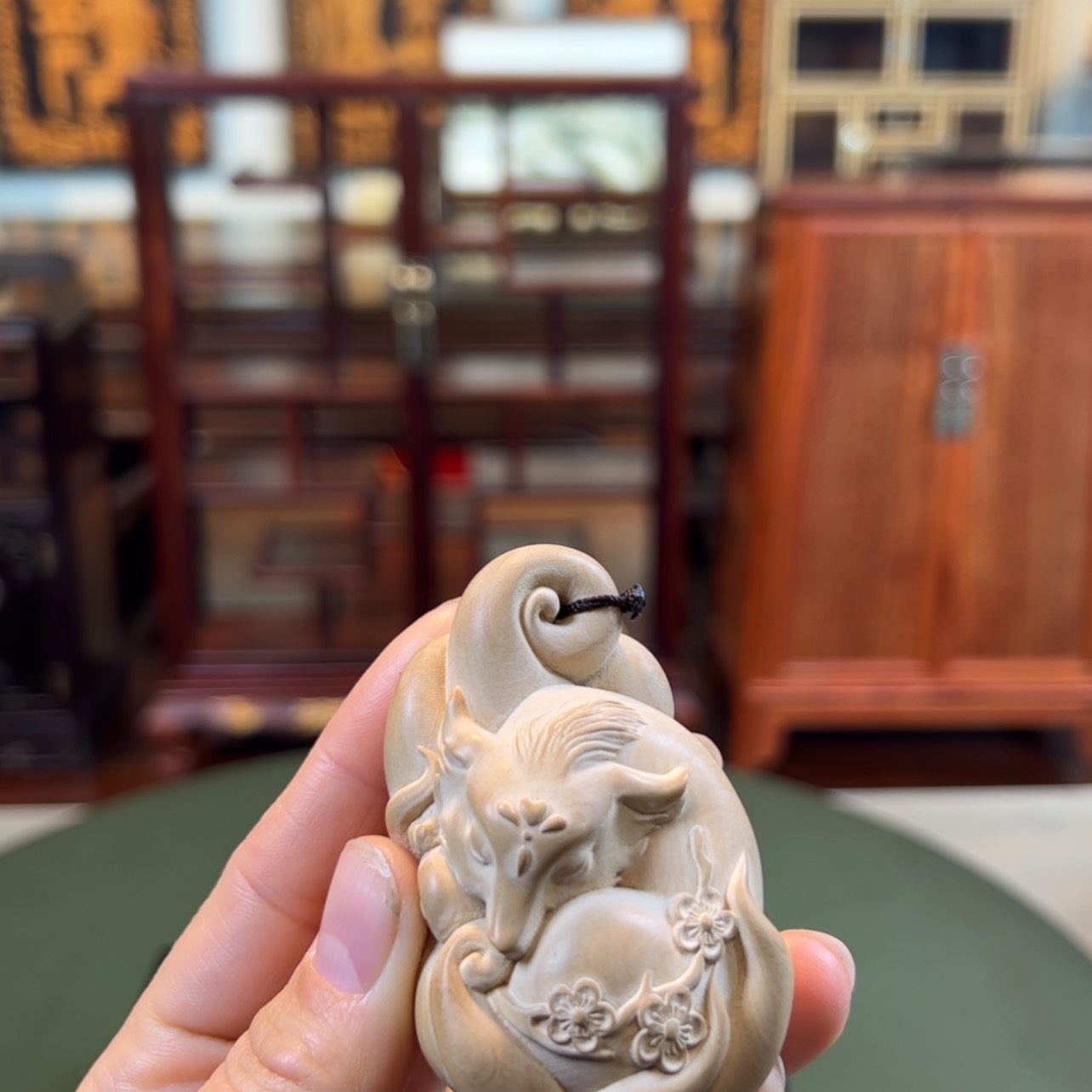 【闪购商品】黄杨木其他黄杨木