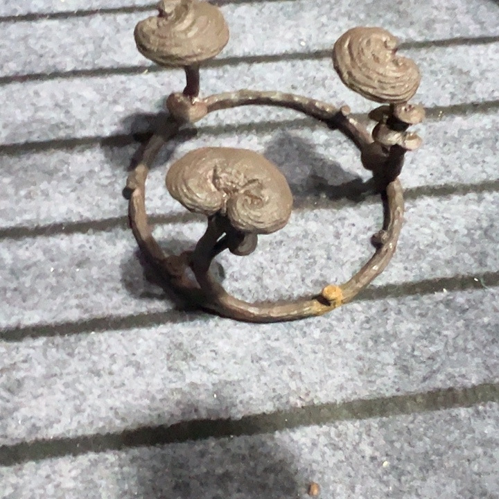 铁的人中古回流好物