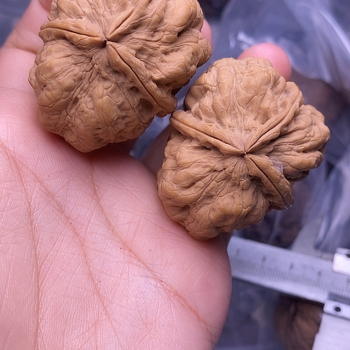 小***萌文玩核桃把件   176