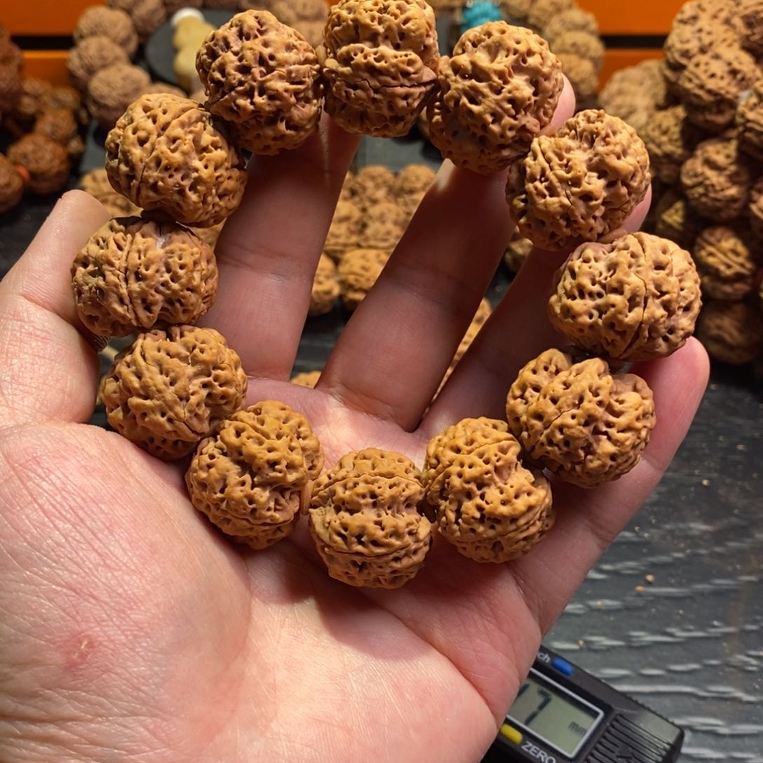 金刚菩提手串龙脊梅花