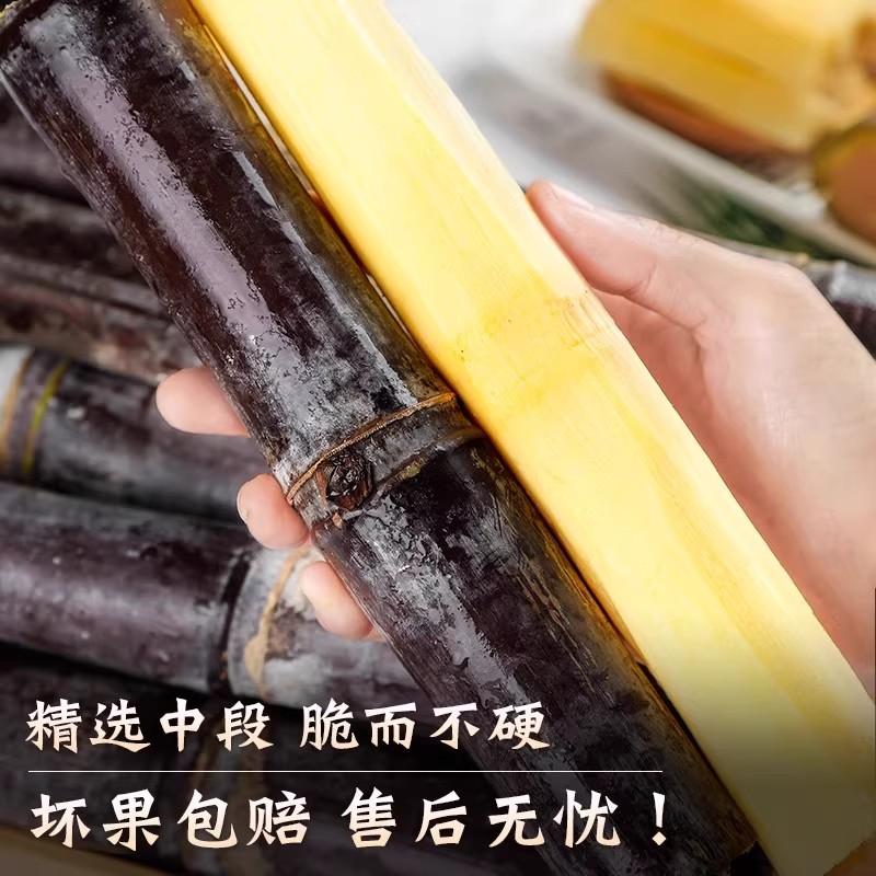 Ss广西精品黑皮甘蔗精选中段新鲜斤水果脆甜多汁粗应当季果蔗特箱