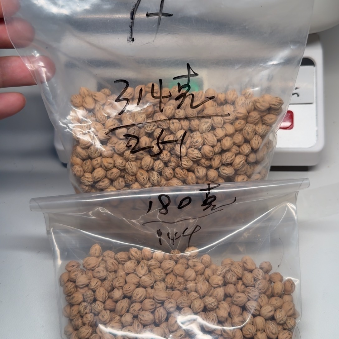 晴***️柏香籽/百香籽吊坠