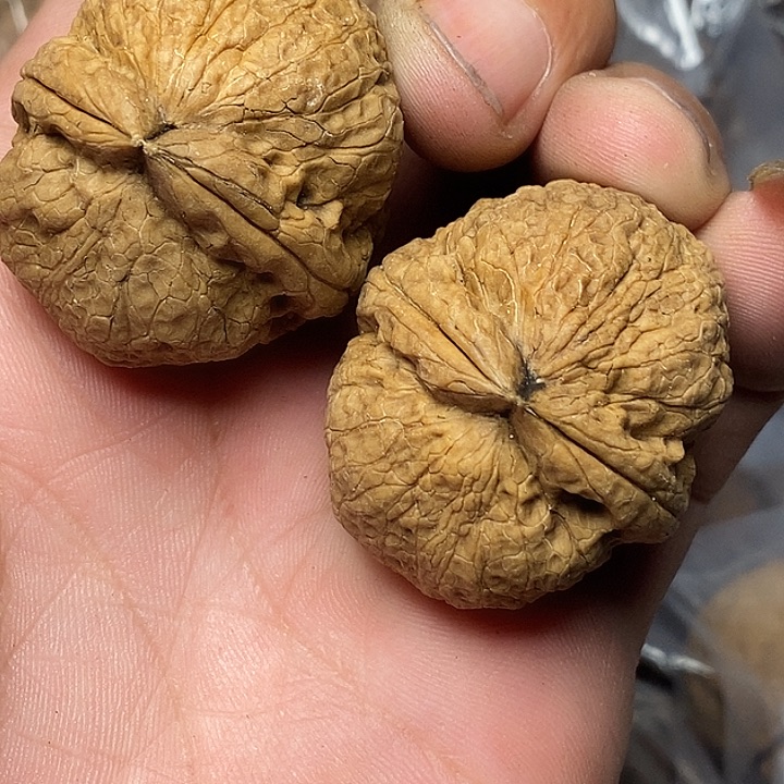 把件文玩核桃云南志成云铁58