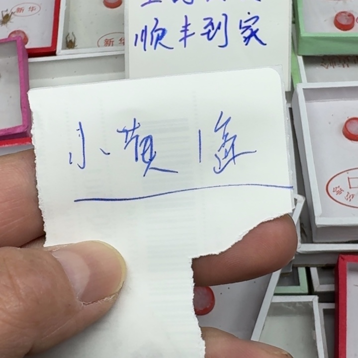 哆***梦蟋蟀111111111111111