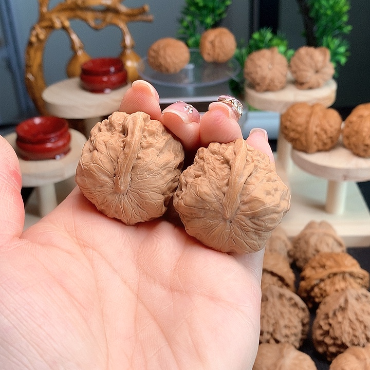 蛤蟆一根筋一根筋50