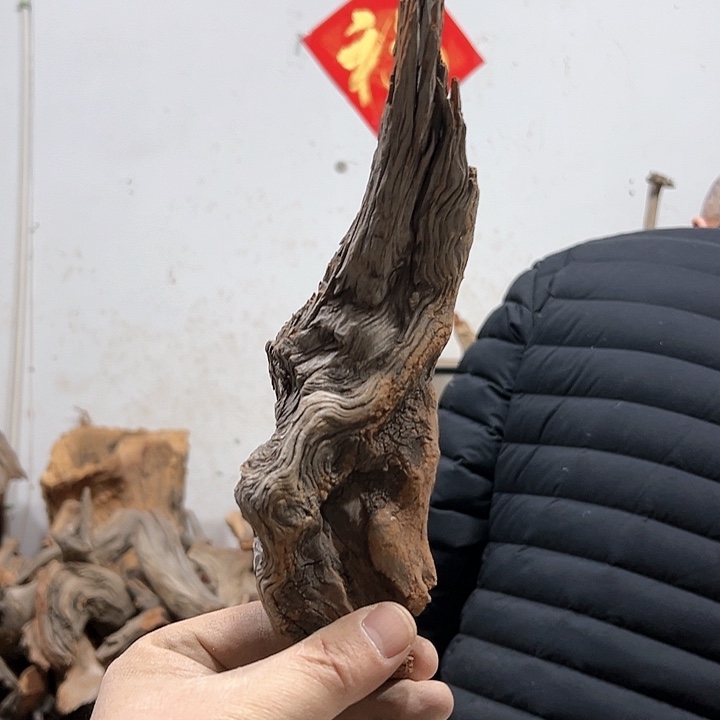 柏木盯*喵我们的生活也是如此