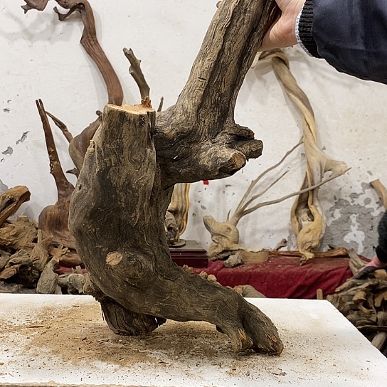 熟****柏木我们都是好孩子