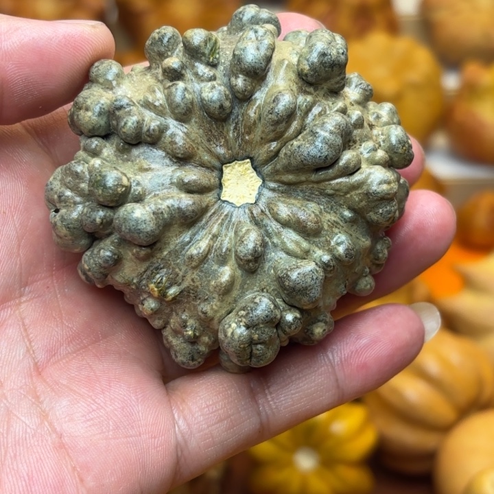 特价福利不退不换