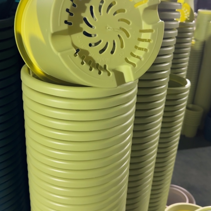 四季4号20个果绿色的花盆