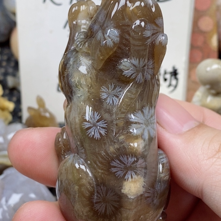 颈饰未镶嵌硅化珊瑚（珊瑚玉）