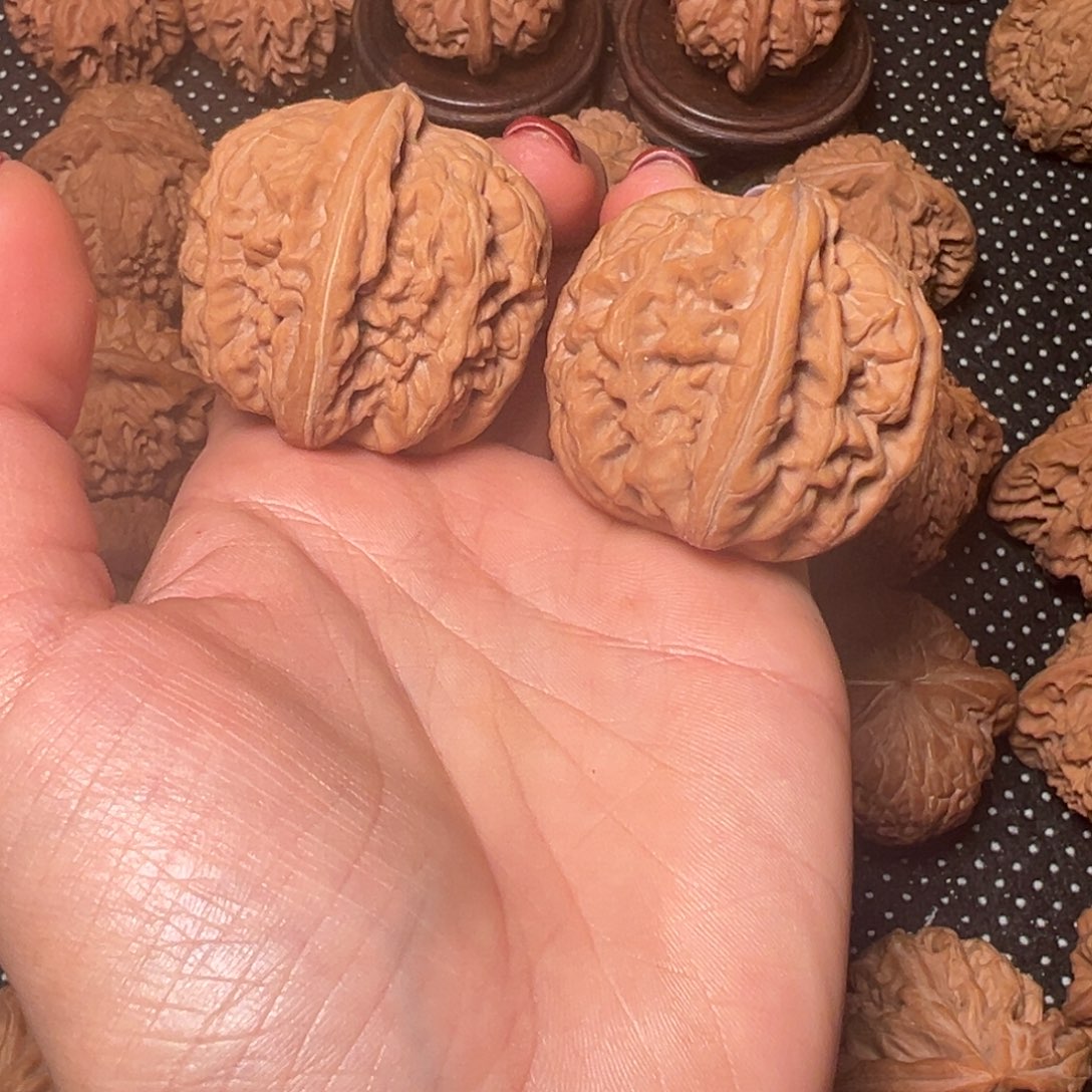 F****红锦鲤，边39，肚42➕，，