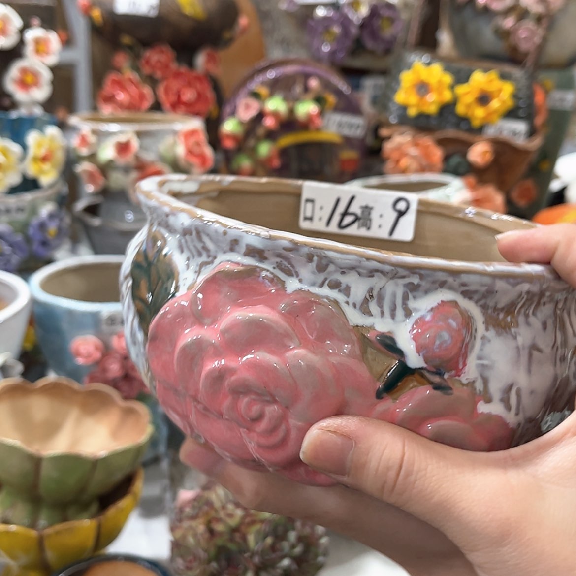 【闪购商品】红陶福利