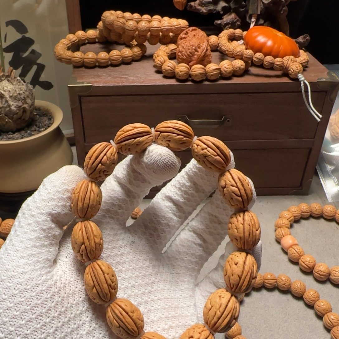 不***慢1.4盘锦肌肉钱袋子“迅猛龙”