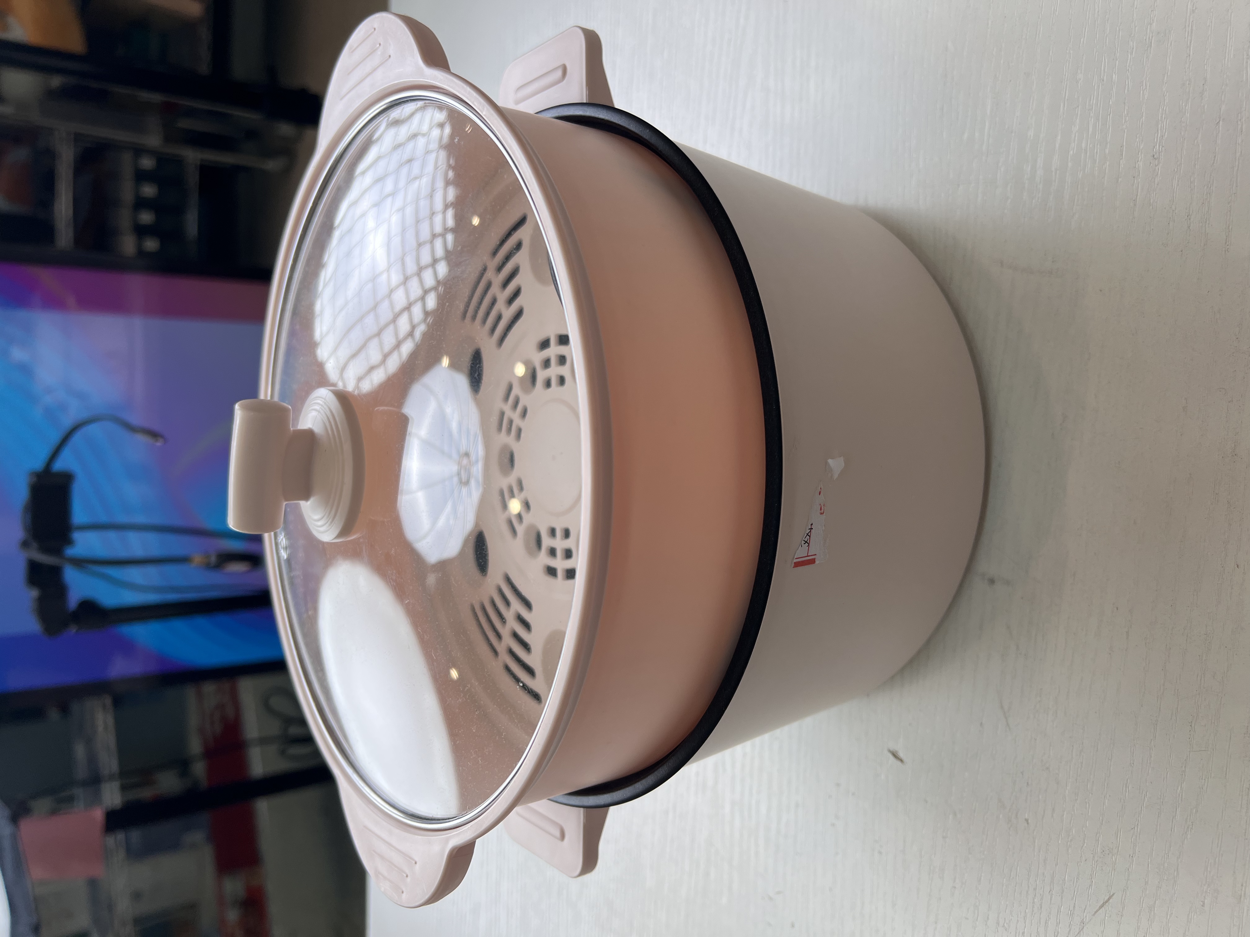 双层电煮锅   电器WFX