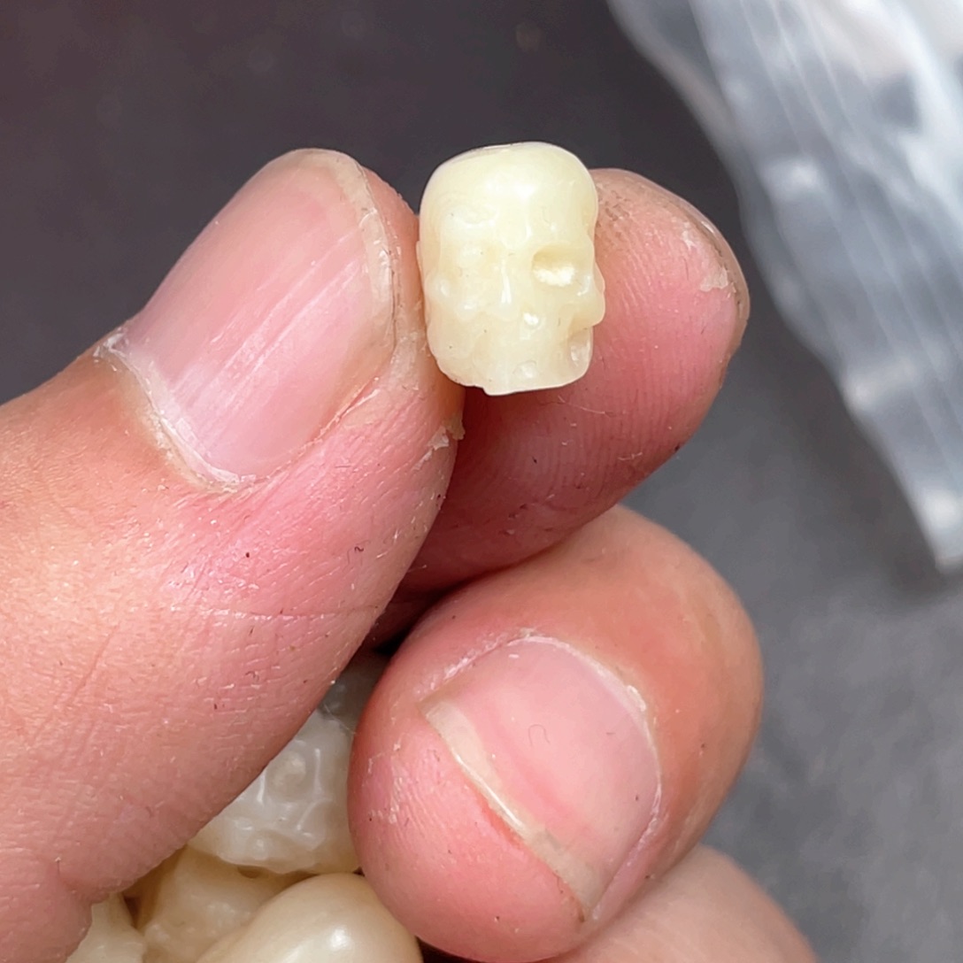 驼骨手串/手链编号82