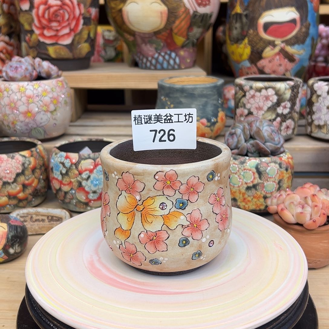 红陶726福利布丁