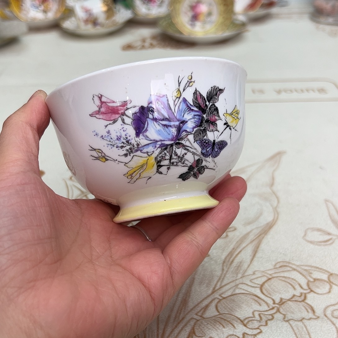盘维多利亚欧洲中古