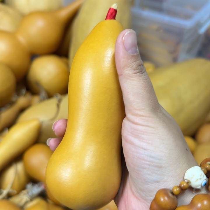 痞***坏竹类老皮本章葫芦