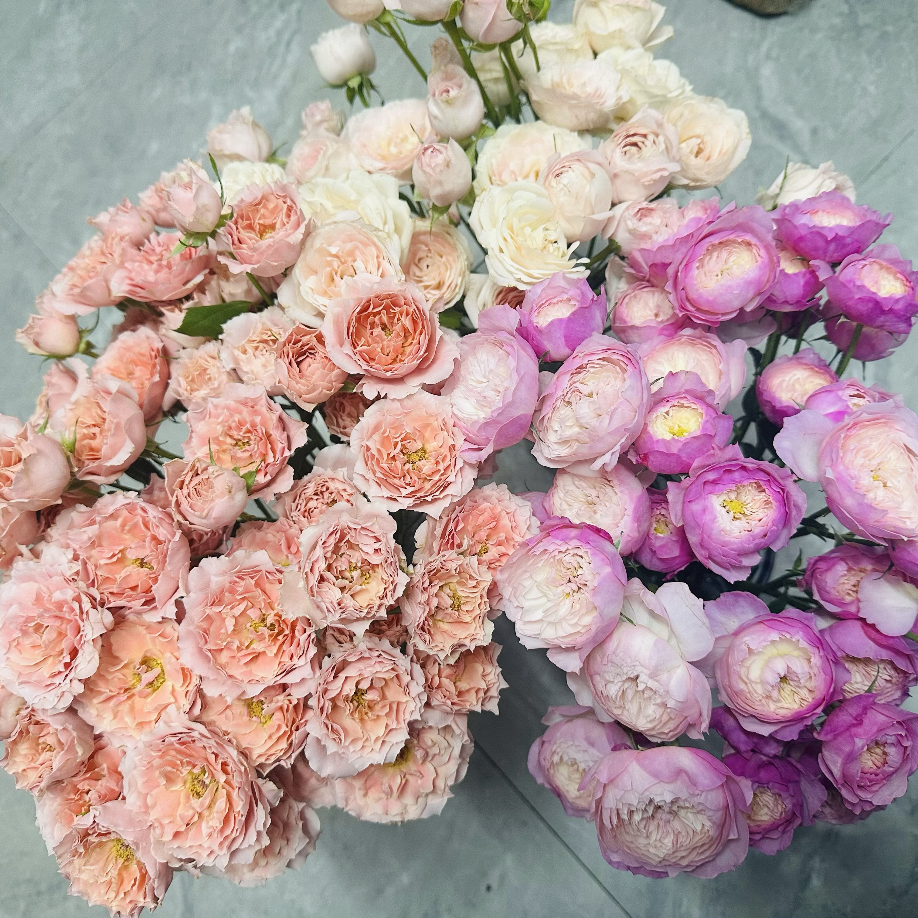 12月26日【云南基地直发】鲜花组合家养鲜切花一箱20%损耗不售后