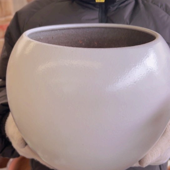 紫砂花盆高23口20—————