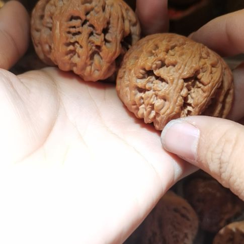 猴头核桃吊坠48粗筋