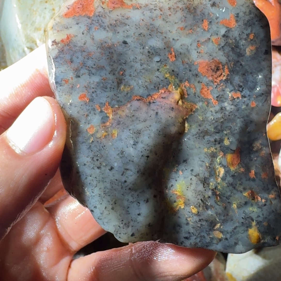 东***学寿山石89998899998888