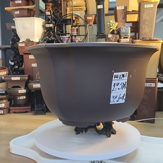 44×24.5四叶草圆盆咖色10只