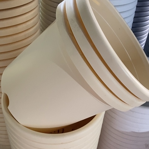 树脂四季5号3个无托米黄