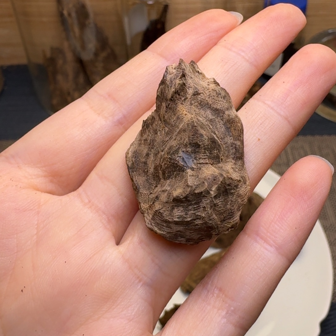 木海南霸王岭沉水老料1.8克