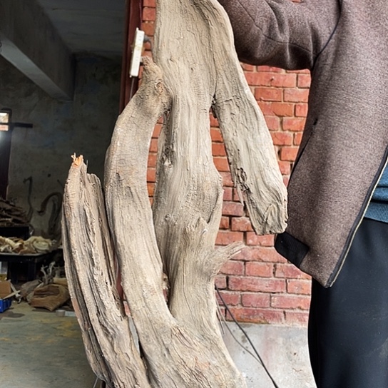 别***我香榧木崖柏崖柏崖柏香料