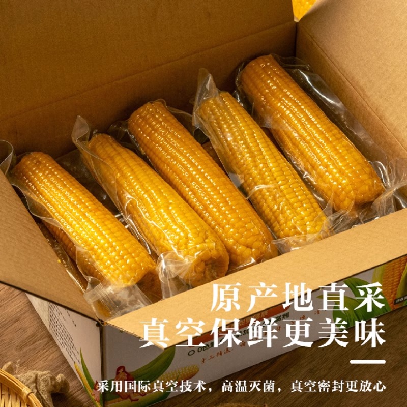 【可试吃两根】当代东北黄糯玉米真空包装黏玉米黄糯玉米整箱14根