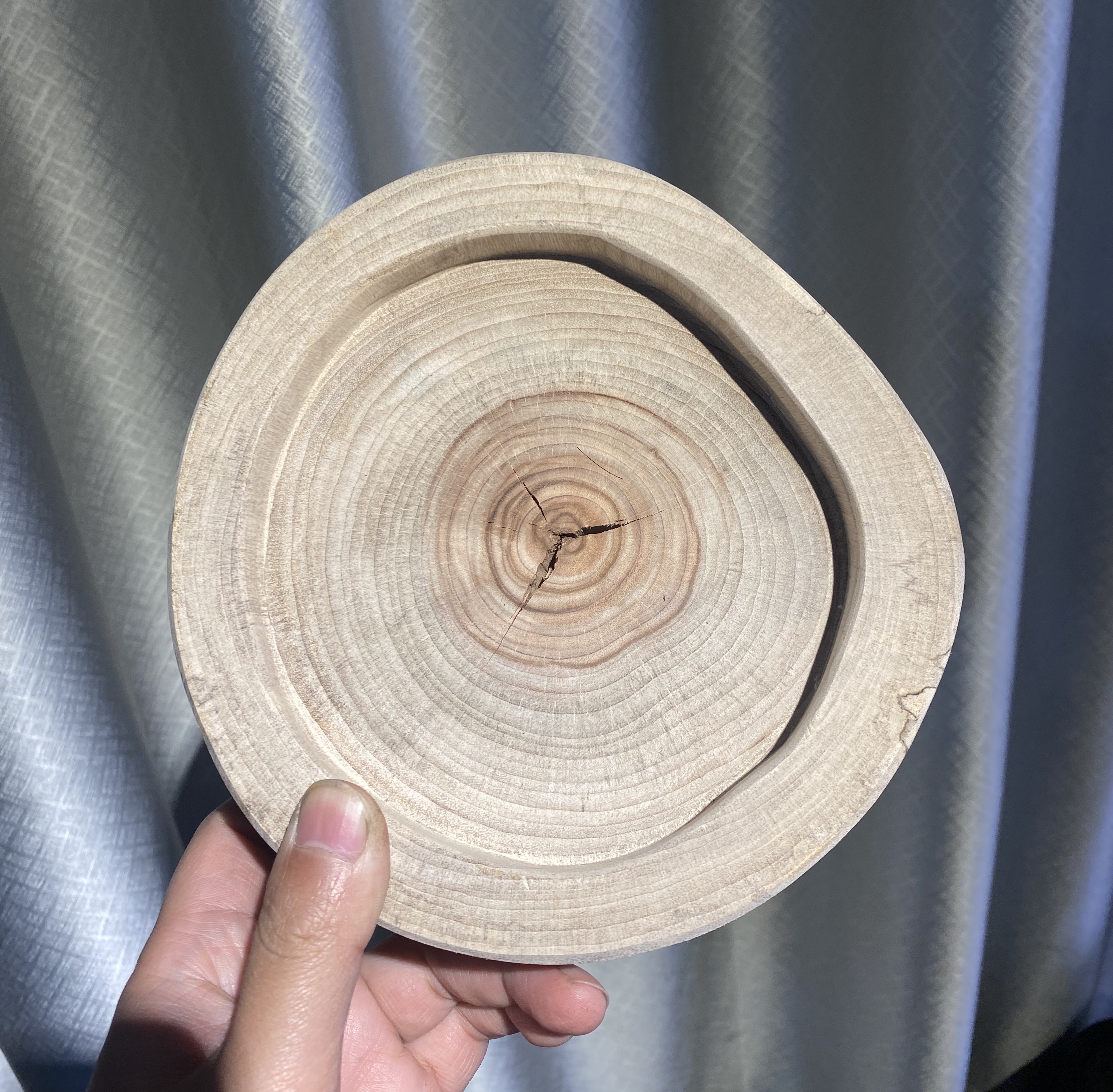 香樟木原木  直播改价链接一物一拍