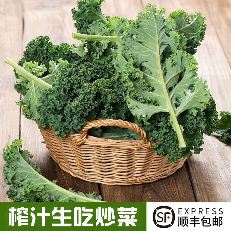 新鲜羽衣甘蓝嫩叶蔬菜沙拉健身食材山东寿光直供现摘现发顺丰包邮