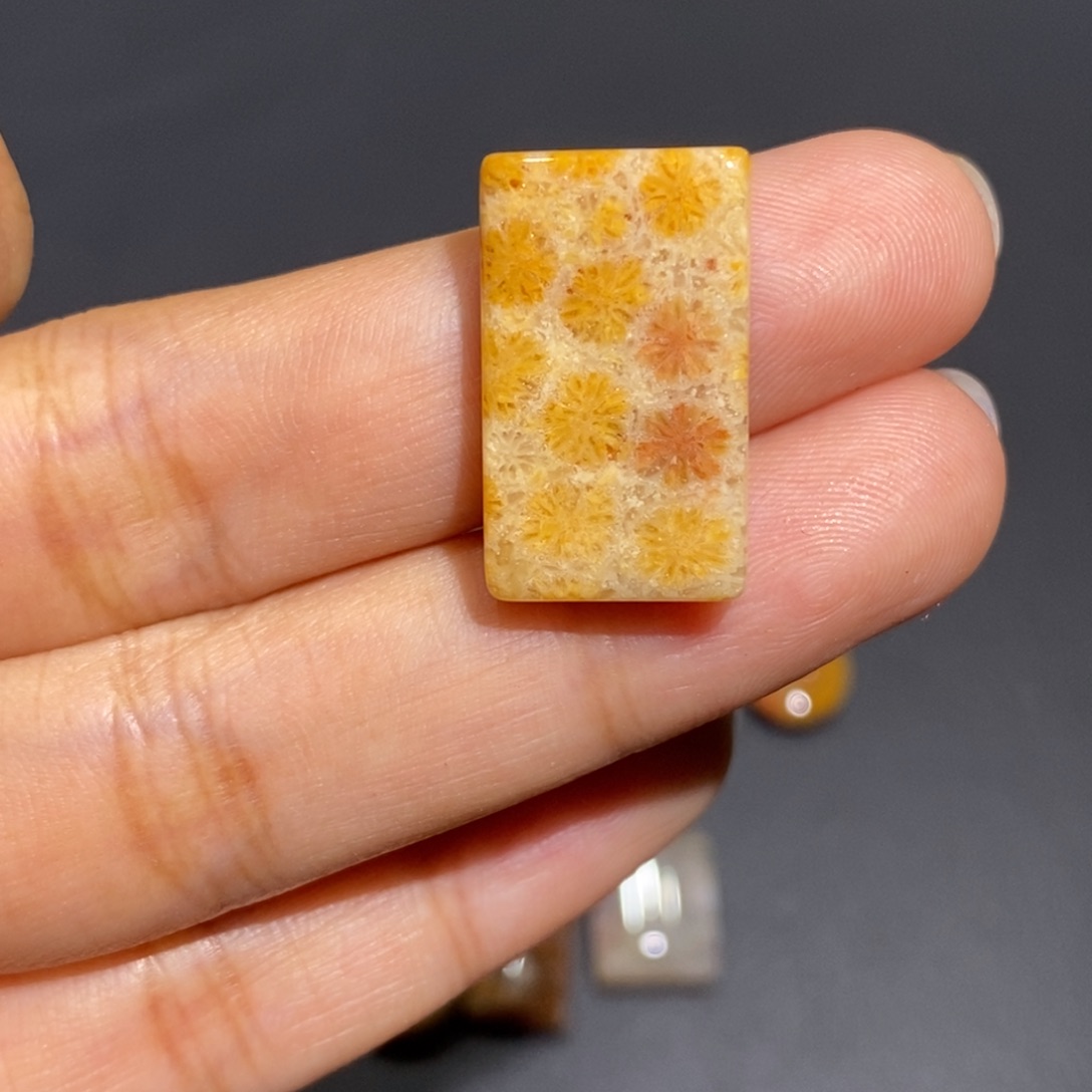 【闪购商品】未镶嵌珊瑚玉硅化玉