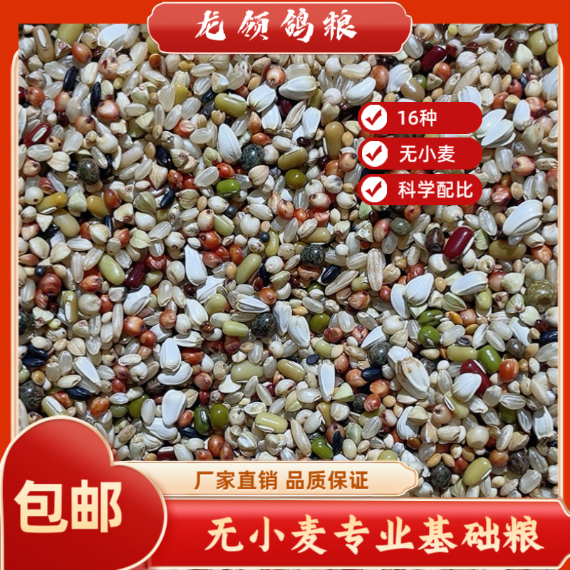 龙领鸽粮  无小麦专业基础粮10/20/50斤包邮信鸽赛飞鸽观赏鸽