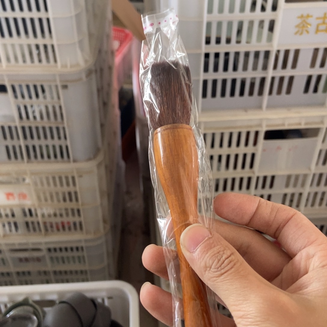 杯直播链接直播链接