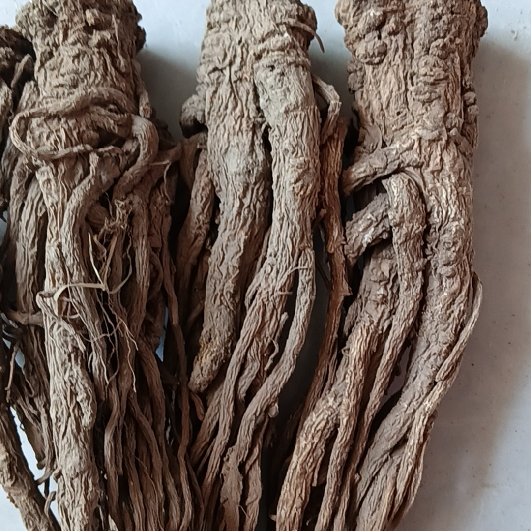 甘肃岷县正宗整根当归中条250克起