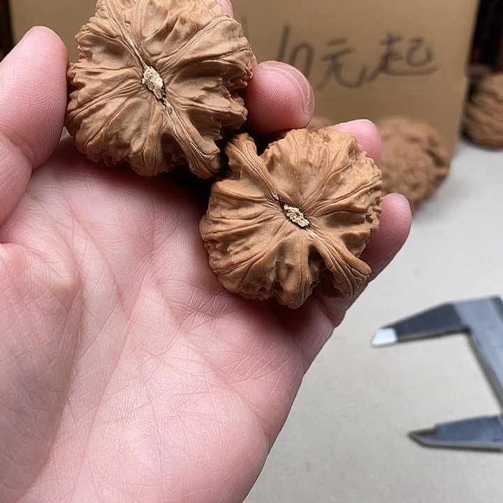 A***桥吊坠龙脊菩提44.44.4.4.44.44