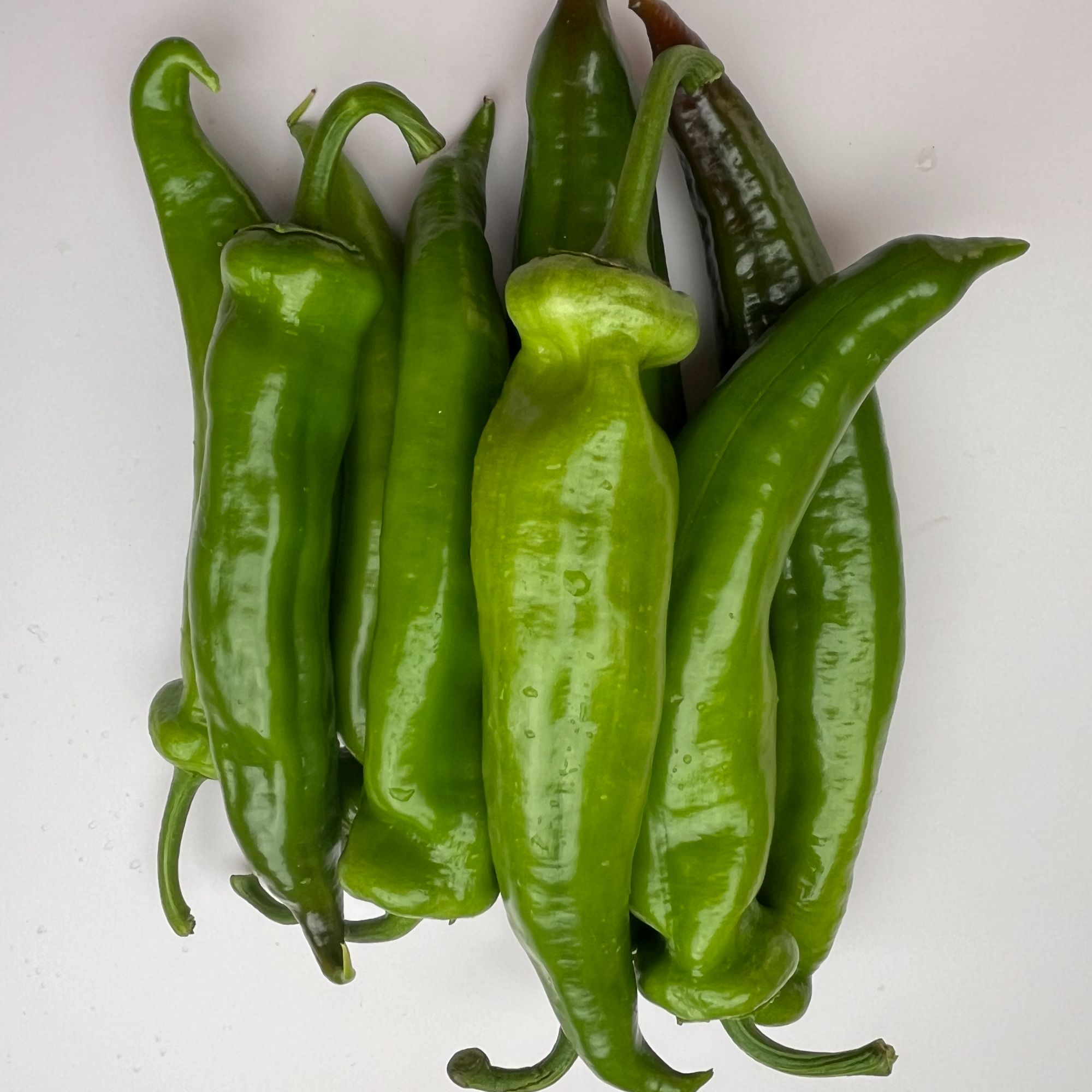 青尖辣椒，皮薄味浓，大棚直发。