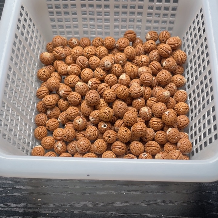 罗***针核桃手串/手链小桃核散籽批发300