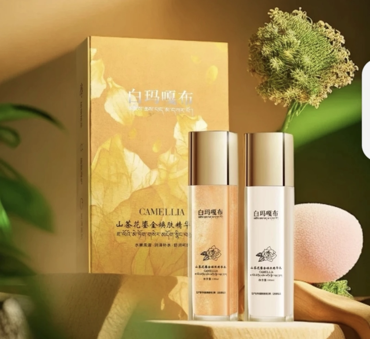 白玛嘎布山茶花水乳送防晒护一个肤补水air茶艺鎏金润泽水嫩