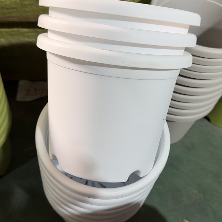 微瑕3#白色10个无托