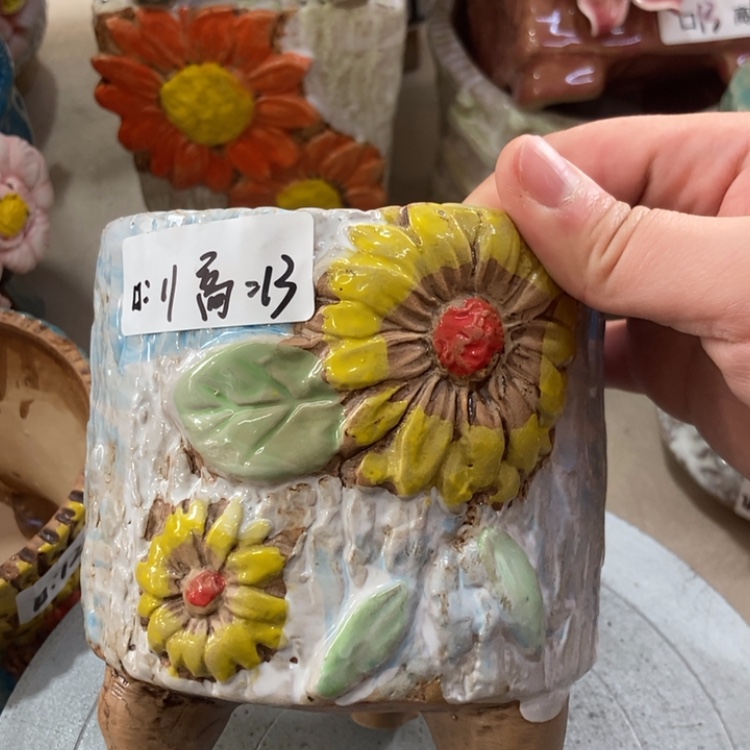 【闪购商品】红陶福利福利福利福利