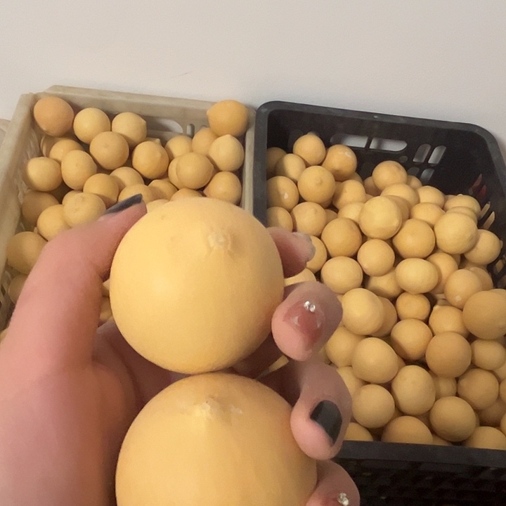鸡蛋葫芦2个厚皮漂亮