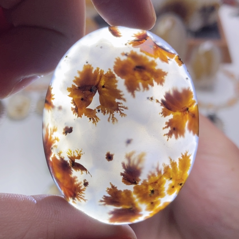 【闪购商品】玛瑙/玉髓颈饰未镶嵌