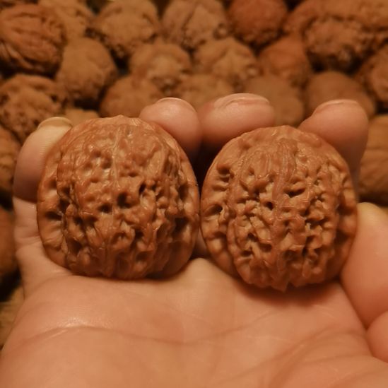 文玩核桃吊坠血麒麟