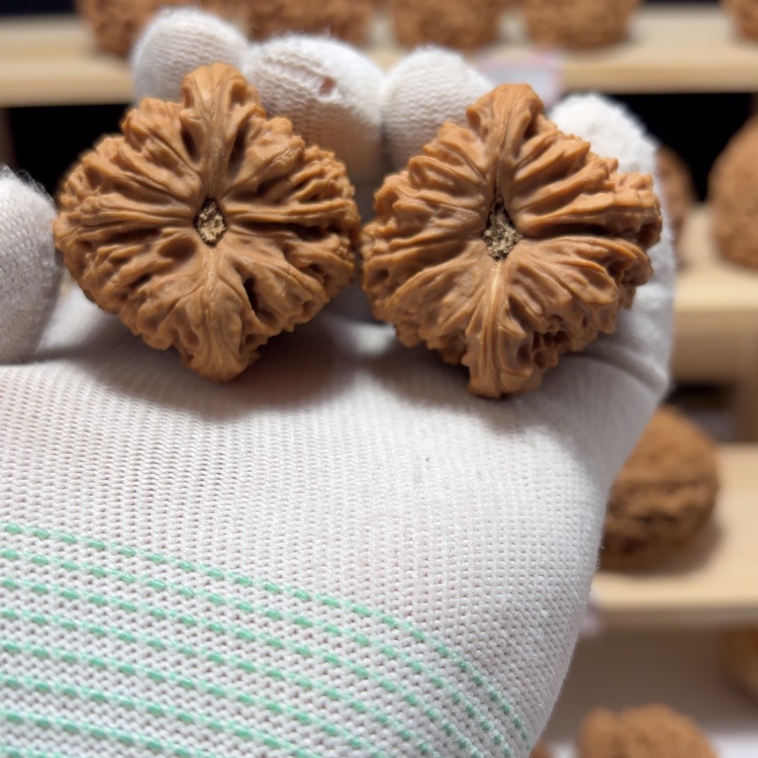 文玩核桃把件无**巨涿鹿南将40